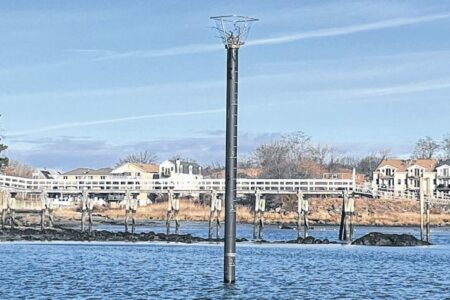 fordham pier osprey next 1